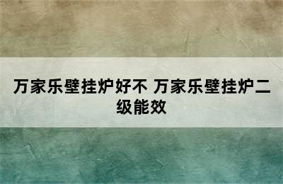 万家乐壁挂炉好不 万家乐壁挂炉二级能效